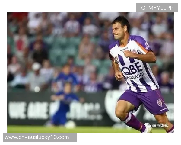 卡拉巴赫与谢里夫对决分析及比赛前瞻全面解读